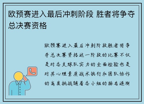 欧预赛进入最后冲刺阶段 胜者将争夺总决赛资格